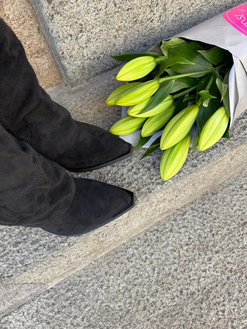 Katrine Faux Suede Boots - Black